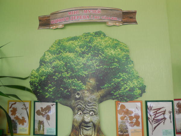 DSCN0222
