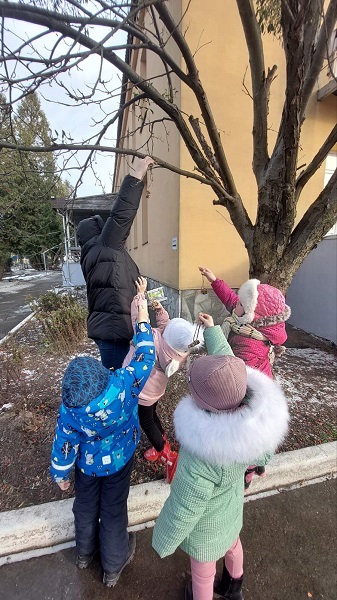 Годівничка